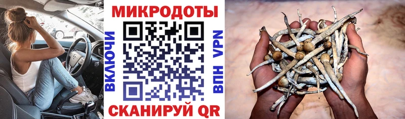 где можно купить   Северск  Галлюциногенные грибы мицелий 