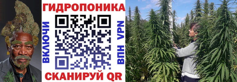 Каннабис планчик  Северск 